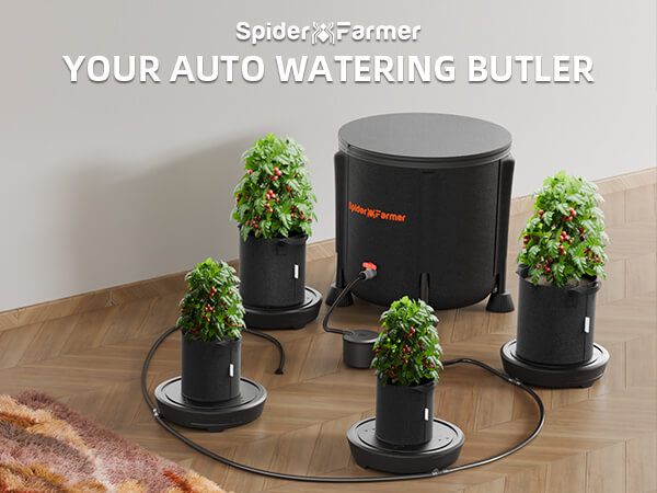 self-watering-system