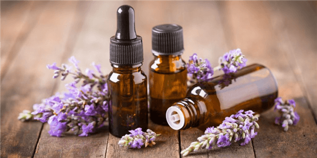 How to Use Lavender Plant Leaves?