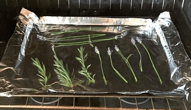Oven Drying Lavender