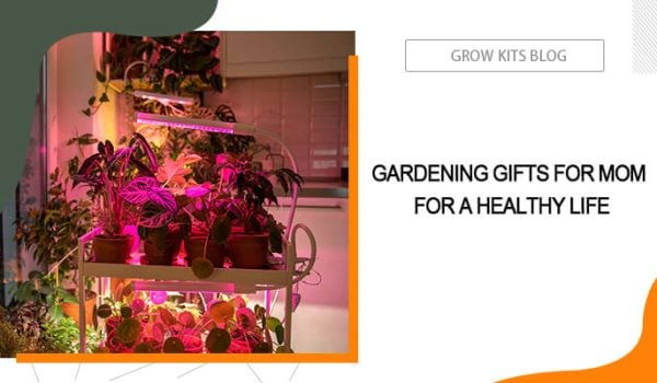 Gardening Gifts for Mom