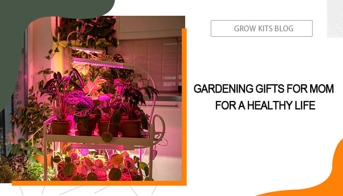 Gardening Gifts for Mom