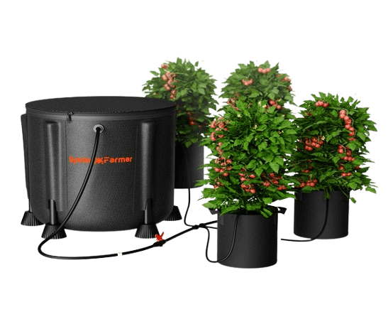 The Best Watering System for Potted Plants - Auto Drip Irrigation System