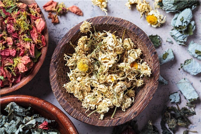 How to Dry Chamomile for Tea?