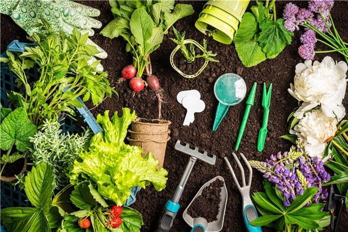 Equipment for a Vegetable Garden