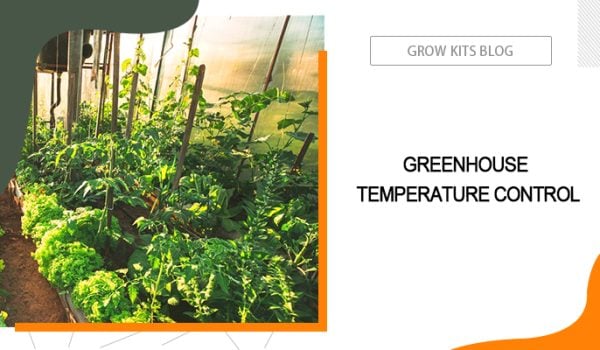 Greenhouse Temperature Control for All Year Round