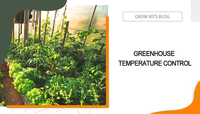 Greenhouse Temperature Control for All Year Round
