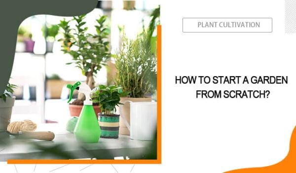 How to Start a Garden?
