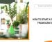 How to Start a Garden?