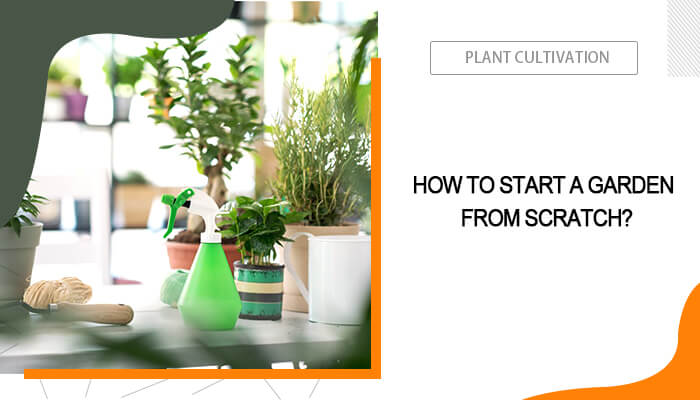 How to Start a Garden?
