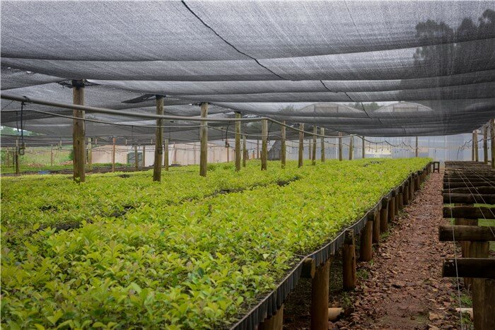 Shade Cloths or Reflective Films