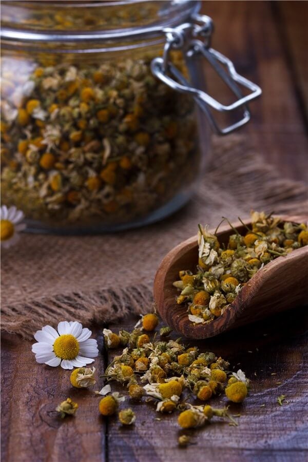 Store the Dried Chamomile
