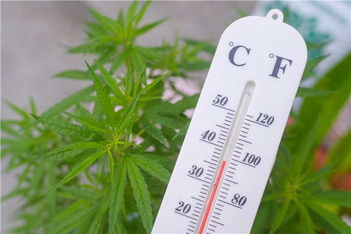What is Climate Control in a Greenhouse?
