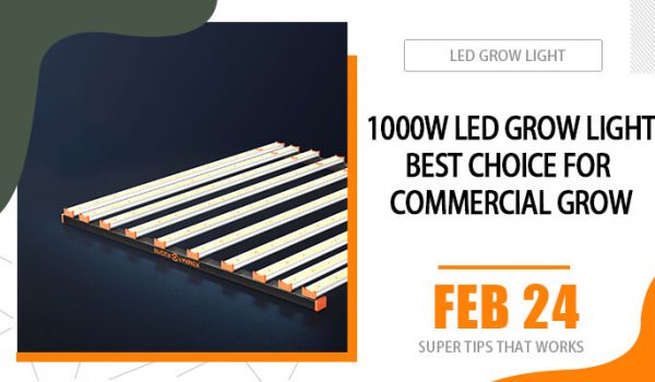 1000w led grow light Best choice for commercial grow