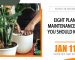 8 Plant Maintenance Tips You Should Know
