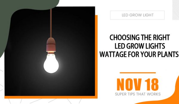 Choosing the right LED Grow Lights Wattage For Your Plants