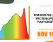 How Does The Light Spectrum Affect Plant Growth