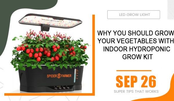 Why You Should Grow Your Vegetables With Indoor Hydroponic Grow Kit