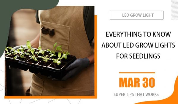 everything-to-know-about-led-grow-light-for-seedlings